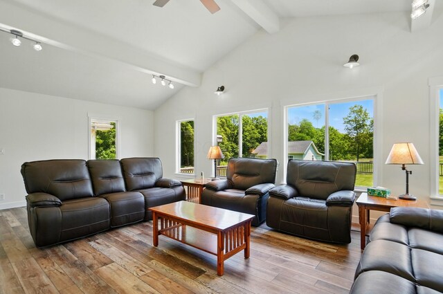 5350 Brook Rd NW, Lancaster, OH 43130 - living room with track lighting, plenty of natural light, beam ceiling, hardwood / wood-style flooring, and ceiling fan