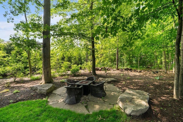 8467 Tartan Fields Dr, Dublin, OH 43017 - view of yard with an outdoor fire pit and a patio area