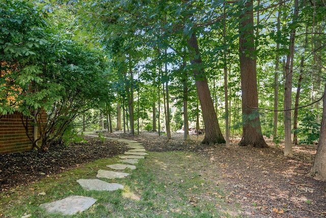 8467 Tartan Fields Dr, Dublin, OH 43017 - photo 82