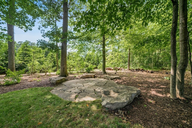 8467 Tartan Fields Dr, Dublin, OH 43017 - photo 79