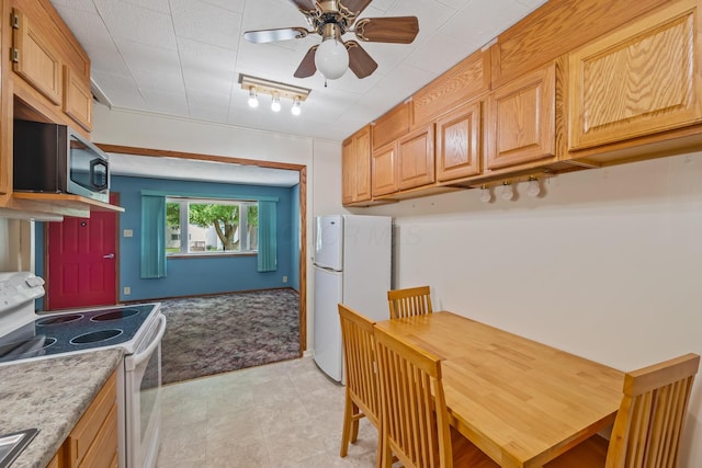 223 Reed Ave, Marion, OH 43302 - photo 16
