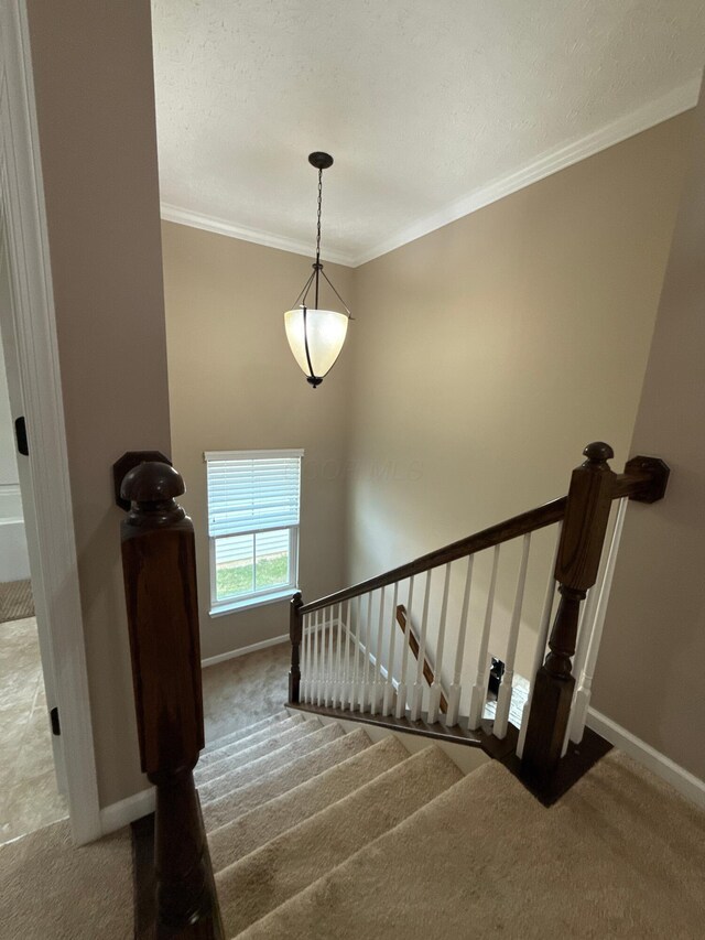 150 Shawnee Dr, Pickerington, OH 43147 - stairs with carpet flooring, ornamental molding, and baseboards
