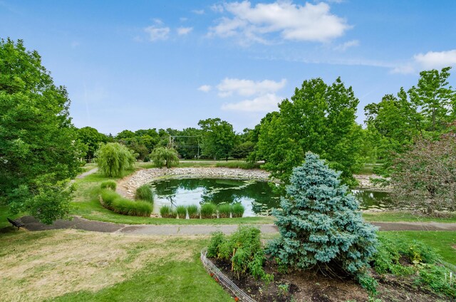 3646 Hilliard Station Rd, Hilliard, OH 43026 - photo 41
