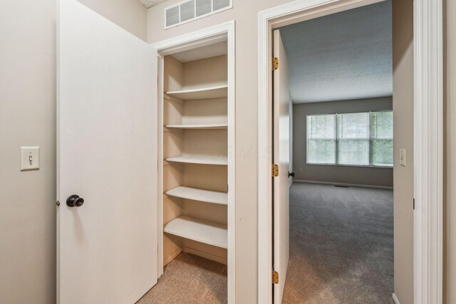 5905 Shadow Lake Cir, Columbus, OH 43235 - view of closet
