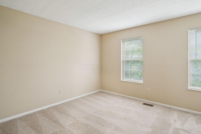 5905 Shadow Lake Cir, Columbus, OH 43235 - empty room featuring carpet flooring, plenty of natural light, baseboards, and a textured ceiling