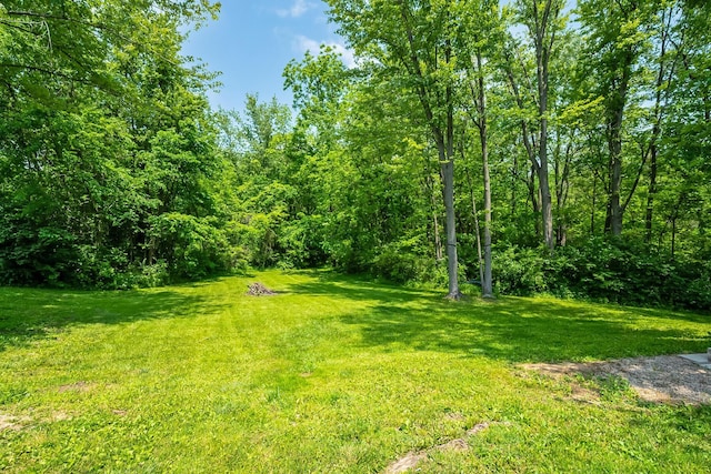 135 State Route 229, Waldo, OH 43356 - view of green lawn