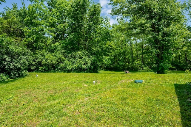 135 State Route 229, Waldo, OH 43356 - view of green lawn