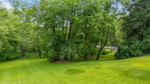 135 State Route 229, Waldo, OH 43356 - view of grassy yard