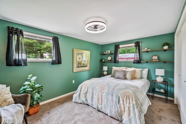 135 State Route 229, Waldo, OH 43356 - bedroom featuring carpet floors and baseboards