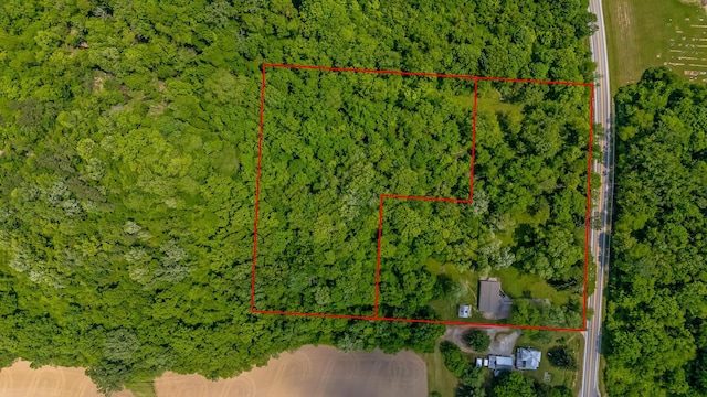 135 State Route 229, Waldo, OH 43356 - view of property location featuring property parcel outlined and a forest