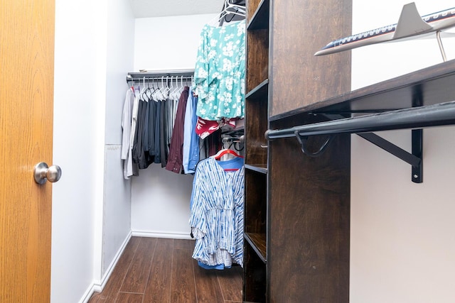 3476 Bayspirit Ct, Reynoldsburg, OH 43068 - walk in closet with wood finished floors