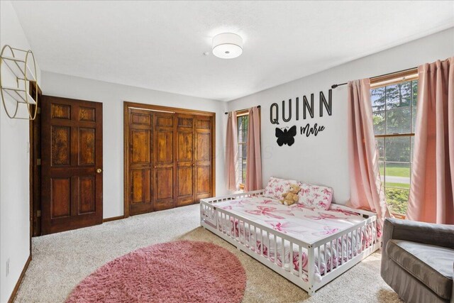 685 Hawthorne Dr, Circleville, OH 43113 - bedroom featuring carpet floors and a closet