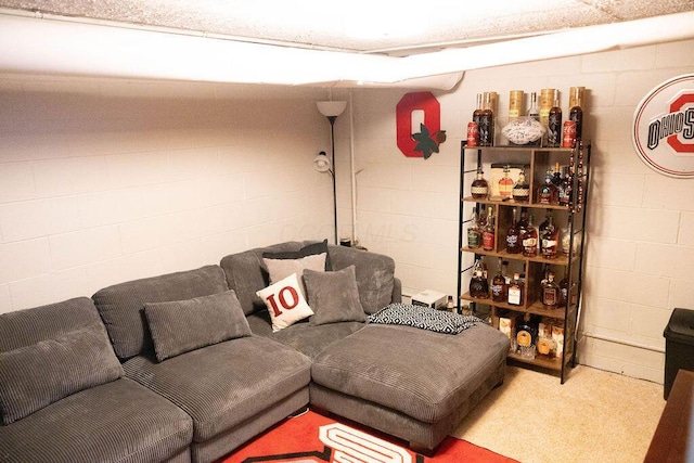 1771 Redcloud Dr, Powell, OH 43065 - carpeted living area with concrete block wall