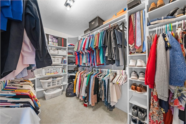 7494 Barrister Dr, Dublin, OH 43016 - walk in closet featuring carpet