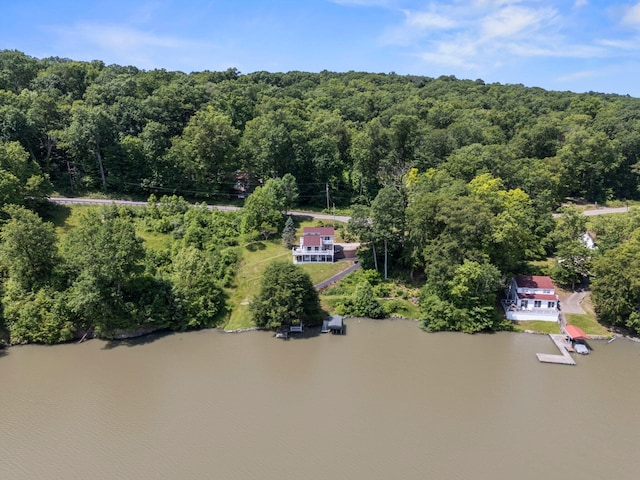 14 Wells Jones Rd, Waverly, OH 45690 - drone / aerial view of a large body of water and a heavily wooded area