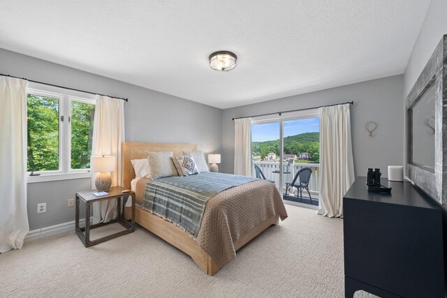 14 Wells Jones Rd, Waverly, OH 45690 - bedroom featuring access to exterior, light carpet, and baseboards