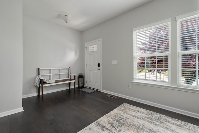 676 Ferguson Ave, Delaware, OH 43015 - foyer entrance featuring plenty of natural light, dark wood-style floors, and baseboards