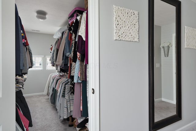 676 Ferguson Ave, Delaware, OH 43015 - walk in closet with carpet