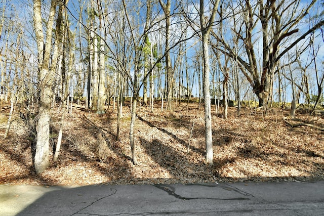 1442 Londondale Unit 3-3, Newark, OH 43055 - view of nature