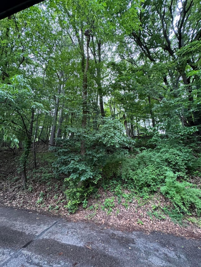 1442 Londondale Unit 3-3, Newark, OH 43055 - view of wooded area