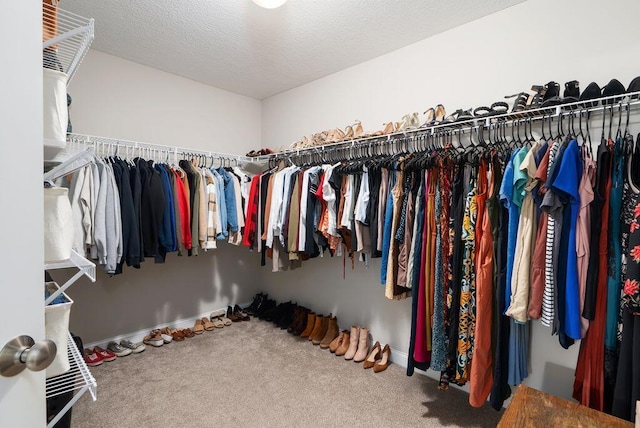 1211 Mcclish Ct, Grove City, OH 43123 - walk in closet with carpet