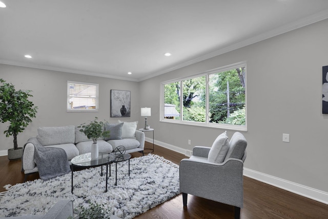 2608 Edgevale Rd, Columbus, OH 43221 - living room featuring plenty of natural light, recessed lighting, crown molding, and dark wood-style flooring