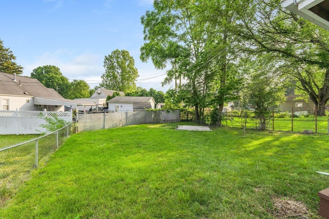 961 Davis Ave, Newark, OH 43055 - view of yard