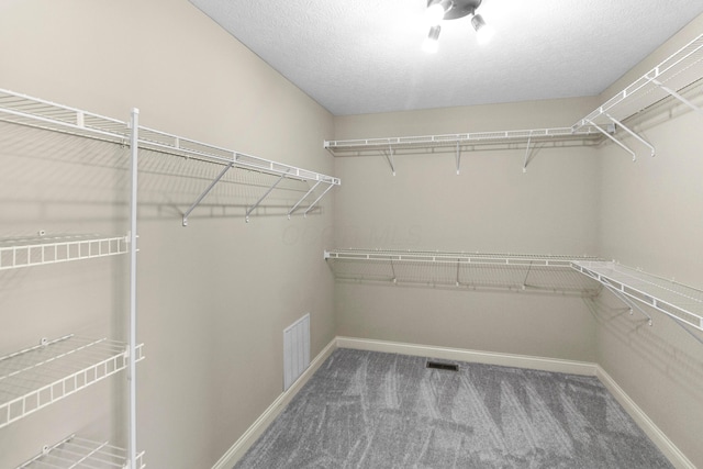 1245 Little Bear Loop, Lewis Center, OH 43035 - walk in closet with carpet