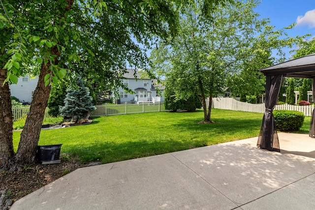 1245 Little Bear Loop, Lewis Center, OH 43035 - view of yard with a patio area