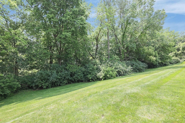 3195 Summerdale Ln, Columbus, OH 43221 - view of green lawn