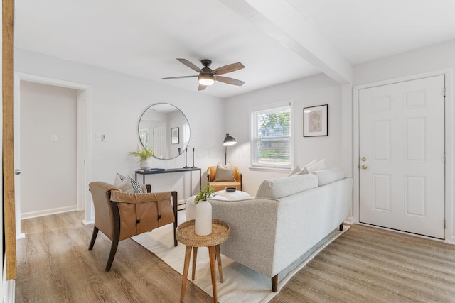895 Caniff Rd, Columbus, OH 43221 - living room with light wood-style floors, ceiling fan, and baseboards