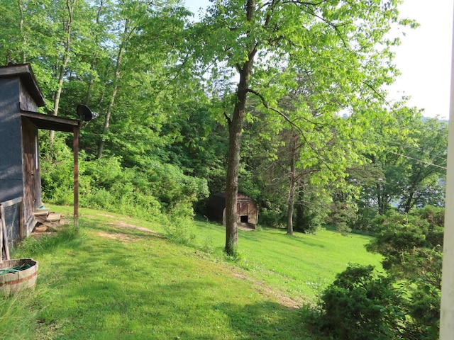 1210 Bronx Corner Rd, Ray, OH 45672 - view of grassy yard with an outbuilding and a forest view