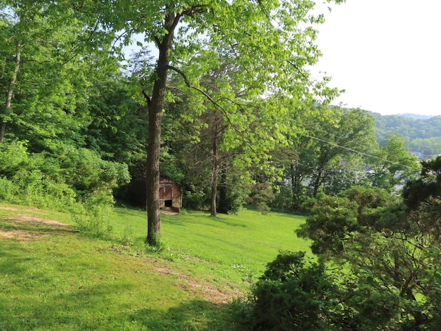 1210 Bronx Corner Rd, Ray, OH 45672 - view of green lawn featuring an outbuilding and a view of trees