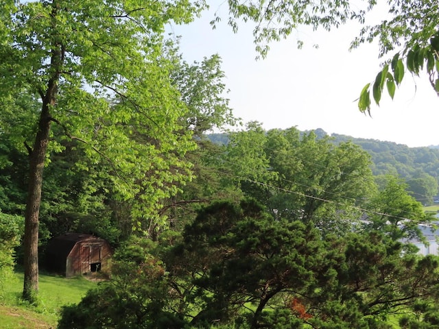 1210 Bronx Corner Rd, Ray, OH 45672 - view of mountain background with a heavily wooded area
