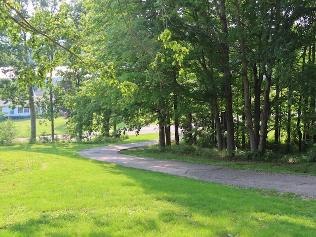 1210 Bronx Corner Rd, Ray, OH 45672 - view of community with a lawn