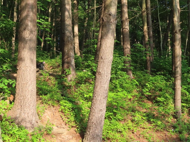 1210 Bronx Corner Rd, Ray, OH 45672 - view of tree filled area