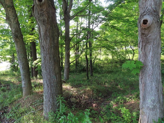 1210 Bronx Corner Rd, Ray, OH 45672 - view of tree filled area
