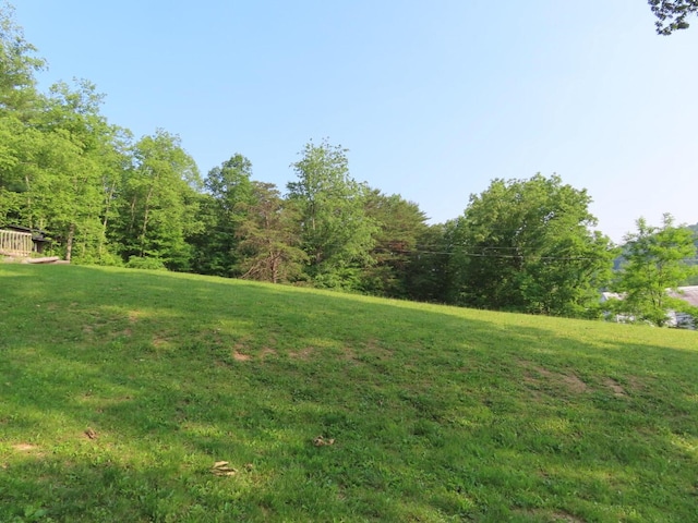 1210 Bronx Corner Rd, Ray, OH 45672 - view of grassy yard with a view of trees
