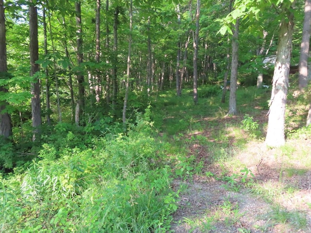 1210 Bronx Corner Rd, Ray, OH 45672 - view of tree filled area