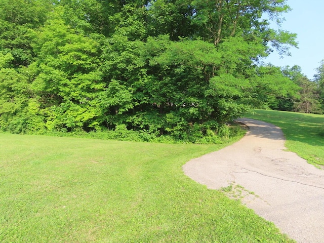 1210 Bronx Corner Rd, Ray, OH 45672 - surrounding community featuring a lawn and a wooded view