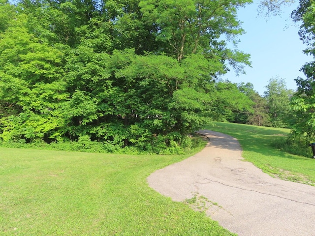 1210 Bronx Corner Rd, Ray, OH 45672 - view of property's community featuring a lawn