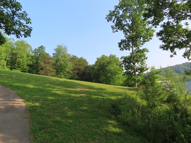 1210 Bronx Corner Rd, Ray, OH 45672 - view of green lawn featuring a wooded view