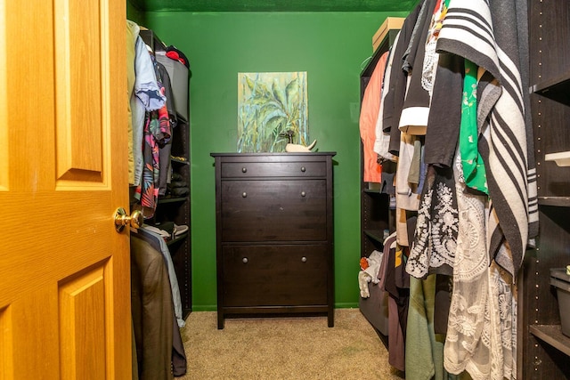 91 Richard Ave, South Bloomfield, OH 43103 - spacious closet with carpet floors