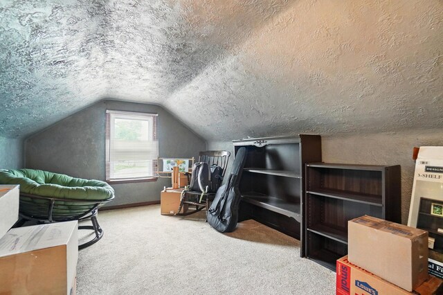 2506 Chester Rd, Columbus, OH 43231 - additional living space featuring vaulted ceiling, carpet, a textured ceiling, and baseboards