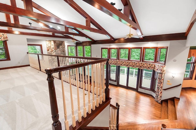 1451 Brittingham Ln, Powell, OH 43065 - photo 20