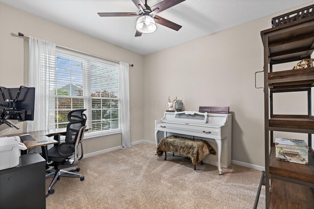 2491 Silver Hill St, Lewis Center, OH 43035 - photo 12
