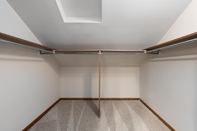 7552 Deer Creek Dr, Columbus, OH 43085 - walk in closet featuring lofted ceiling and carpet floors