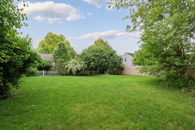 7552 Deer Creek Dr, Columbus, OH 43085 - view of yard