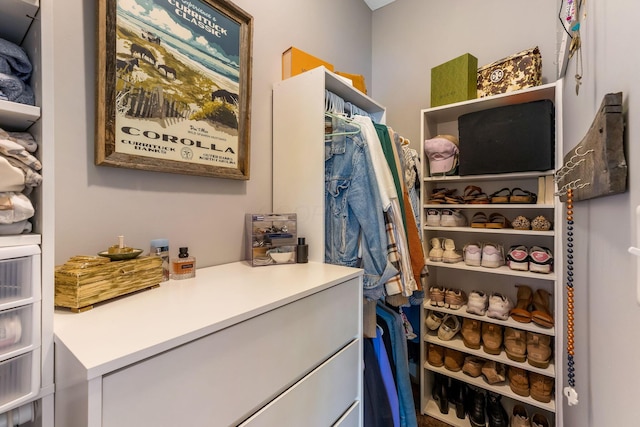 405 Tyler Station Dr, Johnstown, OH 43031 - view of walk in closet