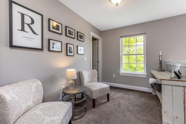 405 Tyler Station Dr, Johnstown, OH 43031 - sitting room featuring carpet flooring and baseboards